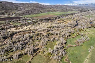 A once-in-a-generation opportunity to own 13 pristine acres - photo 34