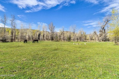 A once-in-a-generation opportunity to own 13 pristine acres - photo 37