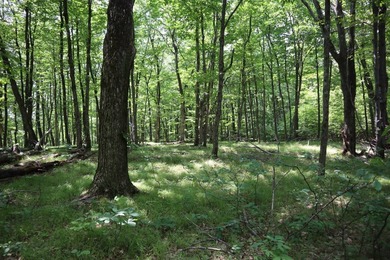 Just north of the farming town of Salem NY, just 500' from the - photo 6
