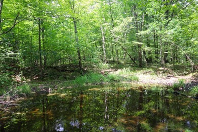 Just north of the farming town of Salem NY, just 500' from the - photo 7