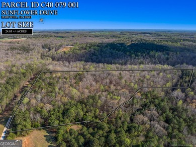 Discover the perfect blend of privacy and possibility with this - photo 2