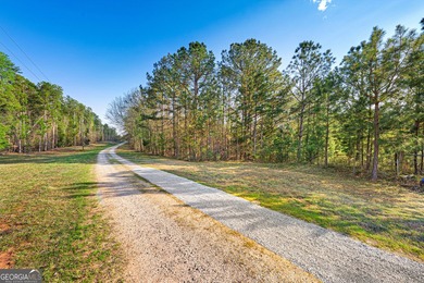 Discover the perfect blend of privacy and possibility with this - photo 4