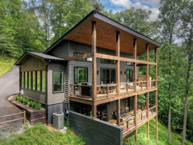 Lake Home For Sale in Blue Ridge, Georgia