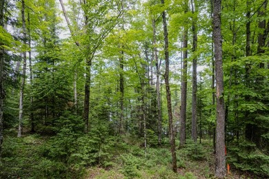 If you're looking for a vacant waterfront lot as far north as - photo 3