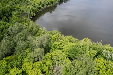 If you're looking for a vacant waterfront lot as far north as - photo 4