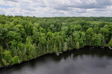If you're looking for a vacant waterfront lot as far north as - photo 5