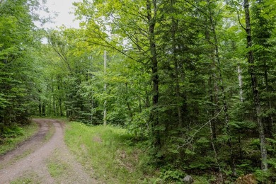 If you're looking for a vacant waterfront lot as far north as - photo 6
