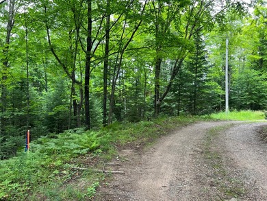If you're looking for a vacant waterfront lot as far north as - photo 8