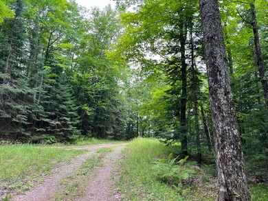 If you're looking for a vacant waterfront lot as far north as - photo 9