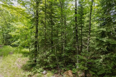 If you're looking for a vacant waterfront lot as far north as - photo 10