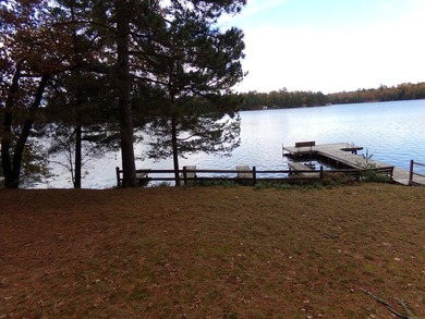 Delightful, charming and inviting 2-bedroom knotty pine seasonal - photo 4