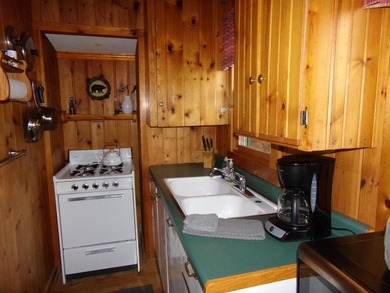 Delightful, charming and inviting 2-bedroom knotty pine seasonal - photo 10