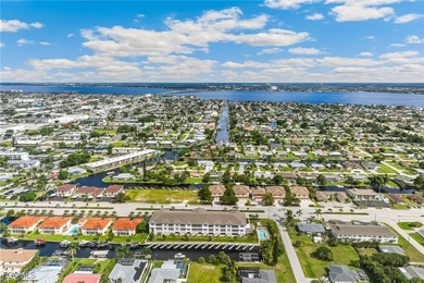 Introducing Bacino Vista, Cape Coral's only new Gulf-access - photo 4