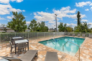 Introducing Bacino Vista, Cape Coral's only new Gulf-access - photo 7