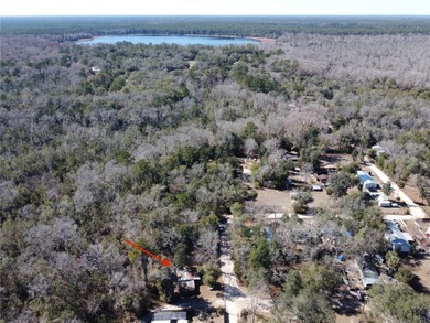 Lake Jumper Home For Sale in Silver Springs Florida