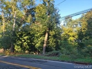 Congers Lake Lot For Sale in Congers New York