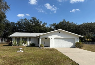 Port Charlotte Waterway Lakes Area Home Sale Pending in Port Charlotte Florida