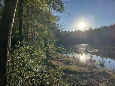 (private lake, pond, coastal) Acreage For Sale in Bethune South Carolina