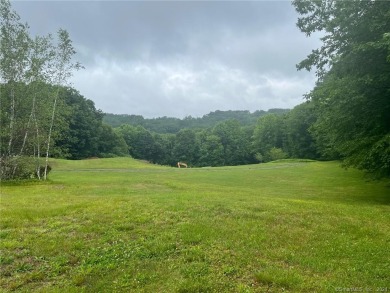 (private lake, pond, creek) Acreage For Sale in Washington Connecticut