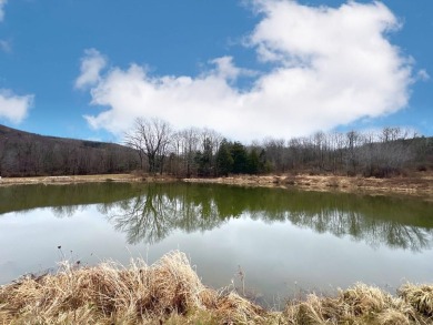 (private lake, pond, creek) Home For Sale in Sabinsville Pennsylvania