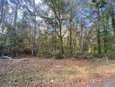 Lake Lot For Sale in Jefferson, Texas