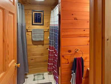 Conveniently located just 1/2 mile from downtown Minocqua, this - photo 8