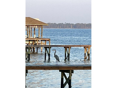 Now one of the best values on Perdido Bay! Spacious waterfront - photo 17