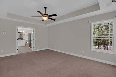 Experience refined Southern living in this beautifully designed - photo 19