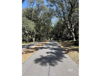 Now one of the best values on Perdido Bay! Spacious waterfront - photo 35