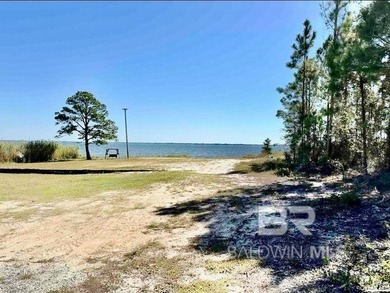 Now one of the best values on Perdido Bay! Spacious waterfront - photo 37