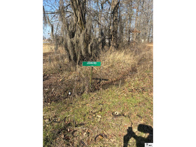 Water frontage lake lot with beautiful views of Lake Louie and - photo 8