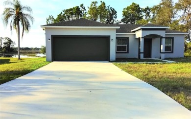 Lake Home For Sale in Deltona, Florida