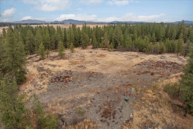 Lake Acreage For Sale in Nine Mile Falls, Washington