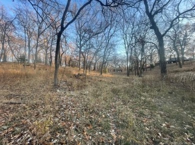 Grand Lake O the Cherokees Lot For Sale in Afton Oklahoma
