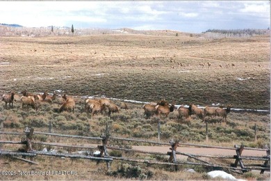 Escape to wide open spaces at 41 Marsh Creek Road in Cora, WY- - photo 43