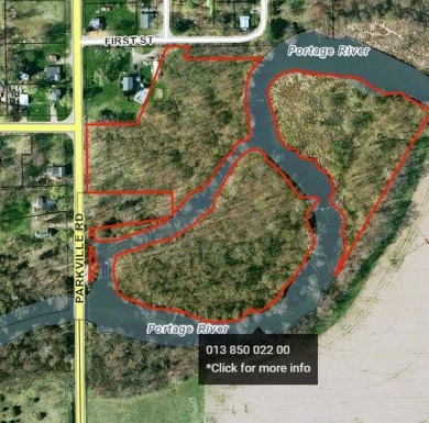 Portage River - St. Joseph County Acreage For Sale in Three Rivers Michigan