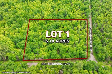 This prime, 5+ acre well-wooded lot in Northern Wisconsin offers - photo 1