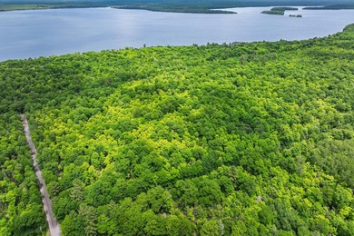 This prime, 5+ acre well-wooded lot in Northern Wisconsin offers - photo 2