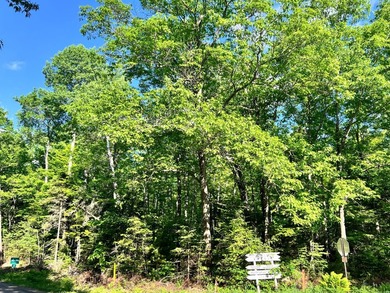 This prime, 5+ acre well-wooded lot in Northern Wisconsin offers - photo 6