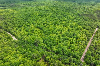 This prime, 5+ acre well-wooded lot in Northern Wisconsin offers - photo 8