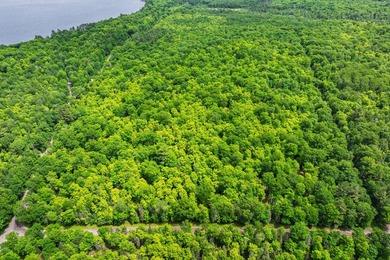 This prime, 5+ acre well-wooded lot in Northern Wisconsin offers - photo 9