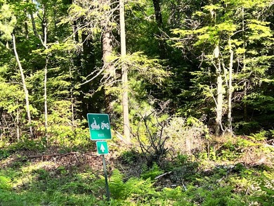 This prime, 5.7+ acre well-wooded lot in Northern Wisconsin - photo 3