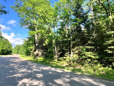 This prime, 5.7+ acre well-wooded lot in Northern Wisconsin - photo 6