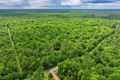 This prime, 10.9+ acre well-wooded lot in Northern Wisconsin - photo 9
