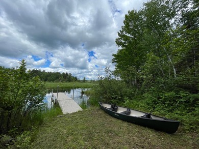 Fantastic log-sided year-round cottage tucked away on 24 private - photo 4