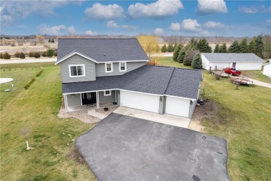 Lake Home For Sale in Wells Twp, Minnesota