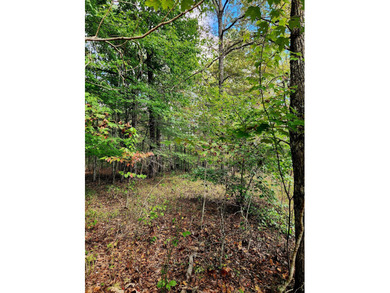 A 5-minute walk (2,5000 ft. roughly away) to the covered - photo 11
