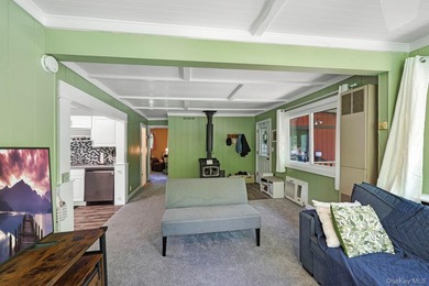 Escape to the beauty of the Catskills at this Mountain Lake - photo 11