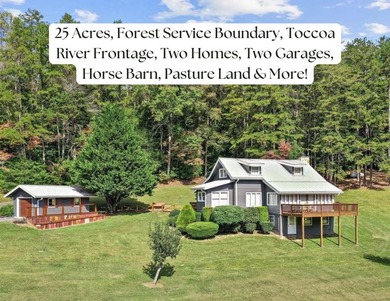 (private lake, pond, creek) Home For Sale in Suches Georgia