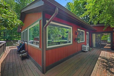 Escape to the beauty of the Catskills at this Mountain Lake - photo 30